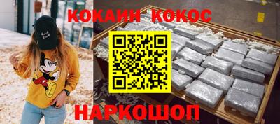 гашик Майкоп
