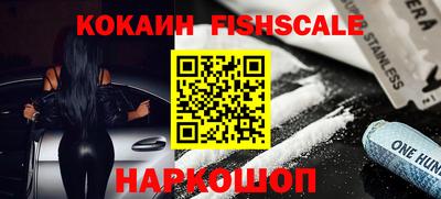 гашик Майкоп