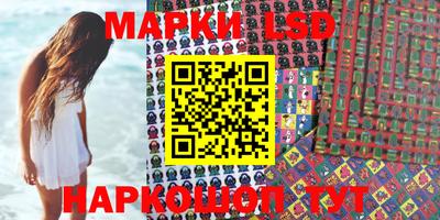 гашик Майкоп
