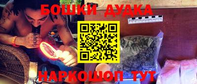 гашик Майкоп