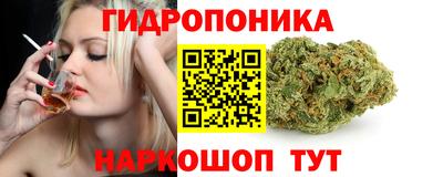 гашик Магадан