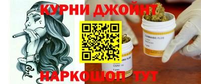 гашик Майкоп