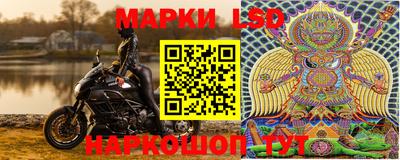гашик Майкоп