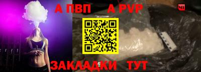 гашик Майкоп