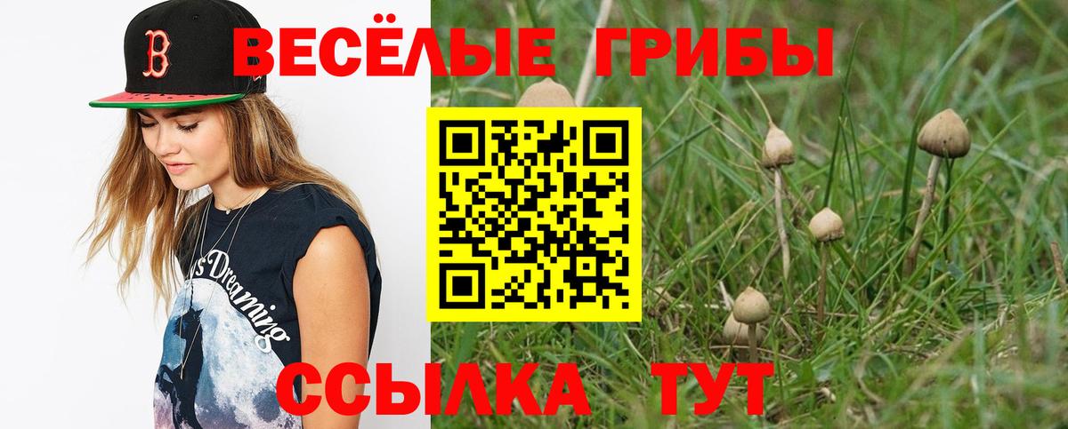 Галлюциногенные грибы Psilocybe  Вход с VPN  Бор 